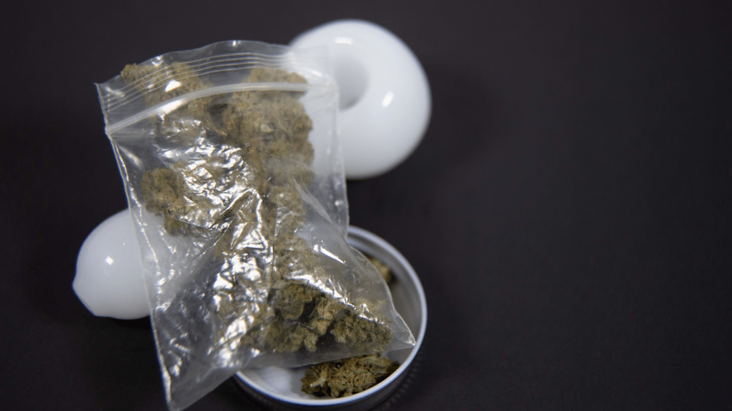 2024 Election: Will Candidates Push for Cannabis Decriminalization?